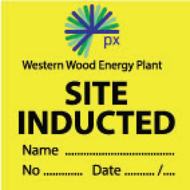 Western Wood Yellow Helmet Sticker