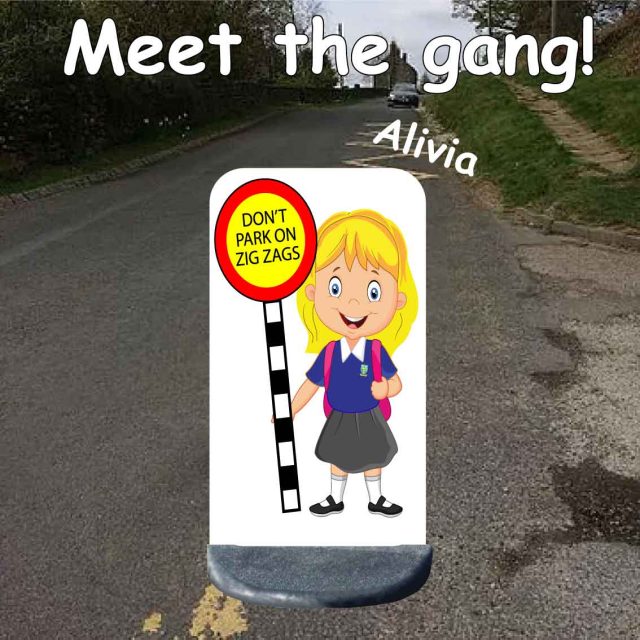 No parking school sign alivia