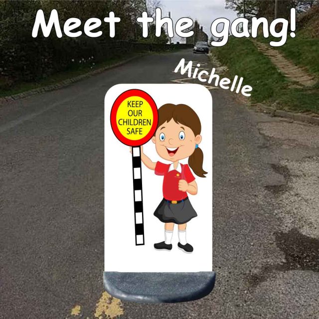 No parking school sign michelle